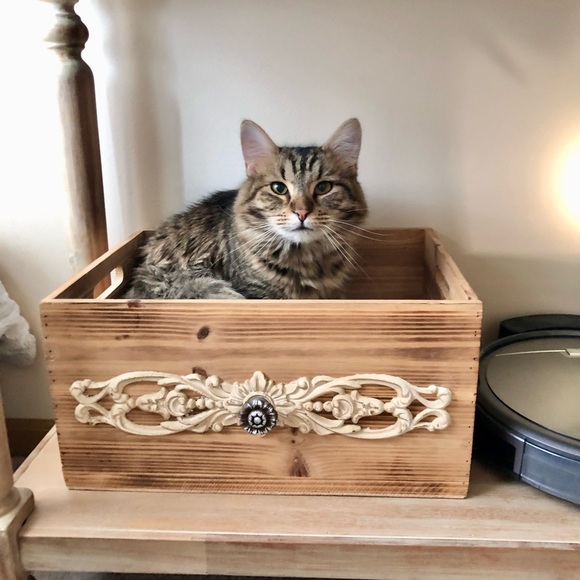 Meet your Posher, Kim - Picture 12 of 15